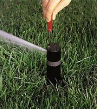 Adjusting a hunter pop up head during a routine sprinkler repair in Brentwood CA